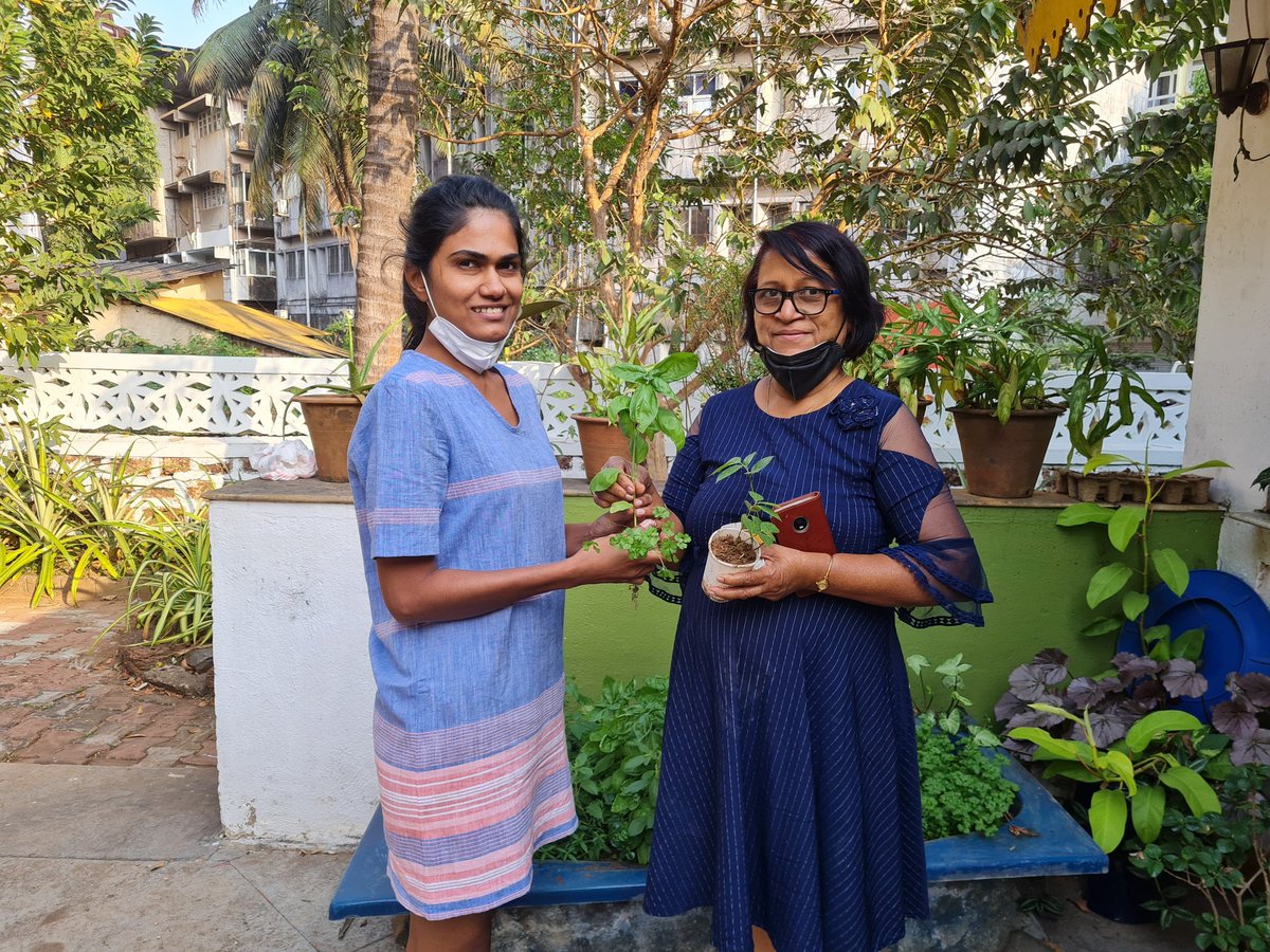 GoaArmando's tweet photo. We carry on with sharing local produce grown at our home, the #GonsalvesMansion in #Goa. You can see my wife (left) Shaeen sharing parsley, basil as well as a #SourSop sapling with a friend. We can do so much, TOGETHER! #SharingIsCaring #LetsShare #SpreadTheLove #Goenkarponn https://t.co/lGw6BUKngN