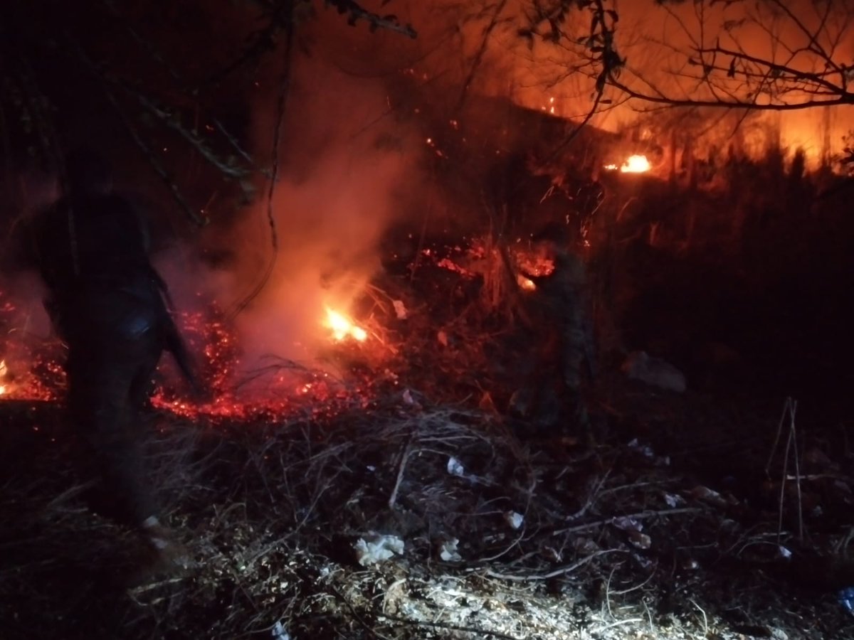 cm5351865's tweet photo. #LoÚltimo || Personal del Comando Sumpul de @FUERZARMADASV realiza tareas de extinción de incendio forestal en el sector de El Amatillo, Pasaquina, La Unión. https://t.co/h411lm4k1g https://t.co/VzLkvquzuS
