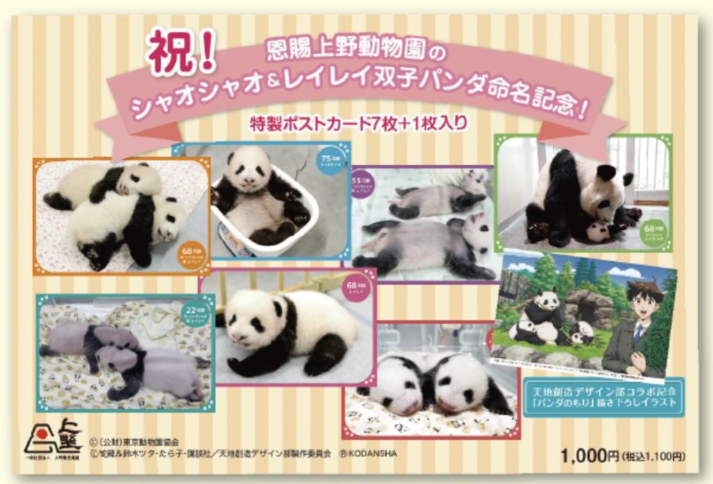 6月12日更新 上野案内所 パンダグッズまとめ Twitter