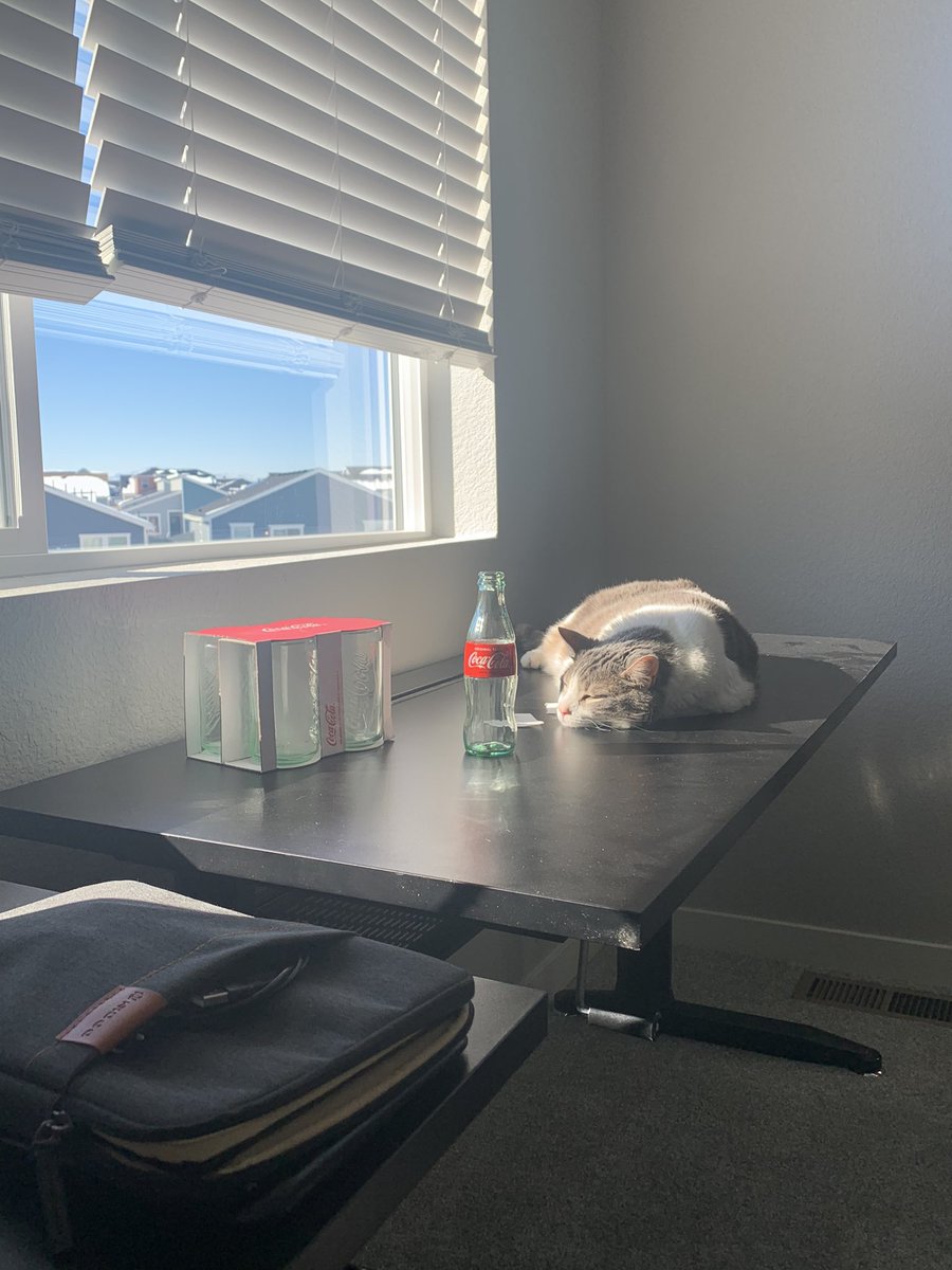 Lvl_Up_Together tweet media