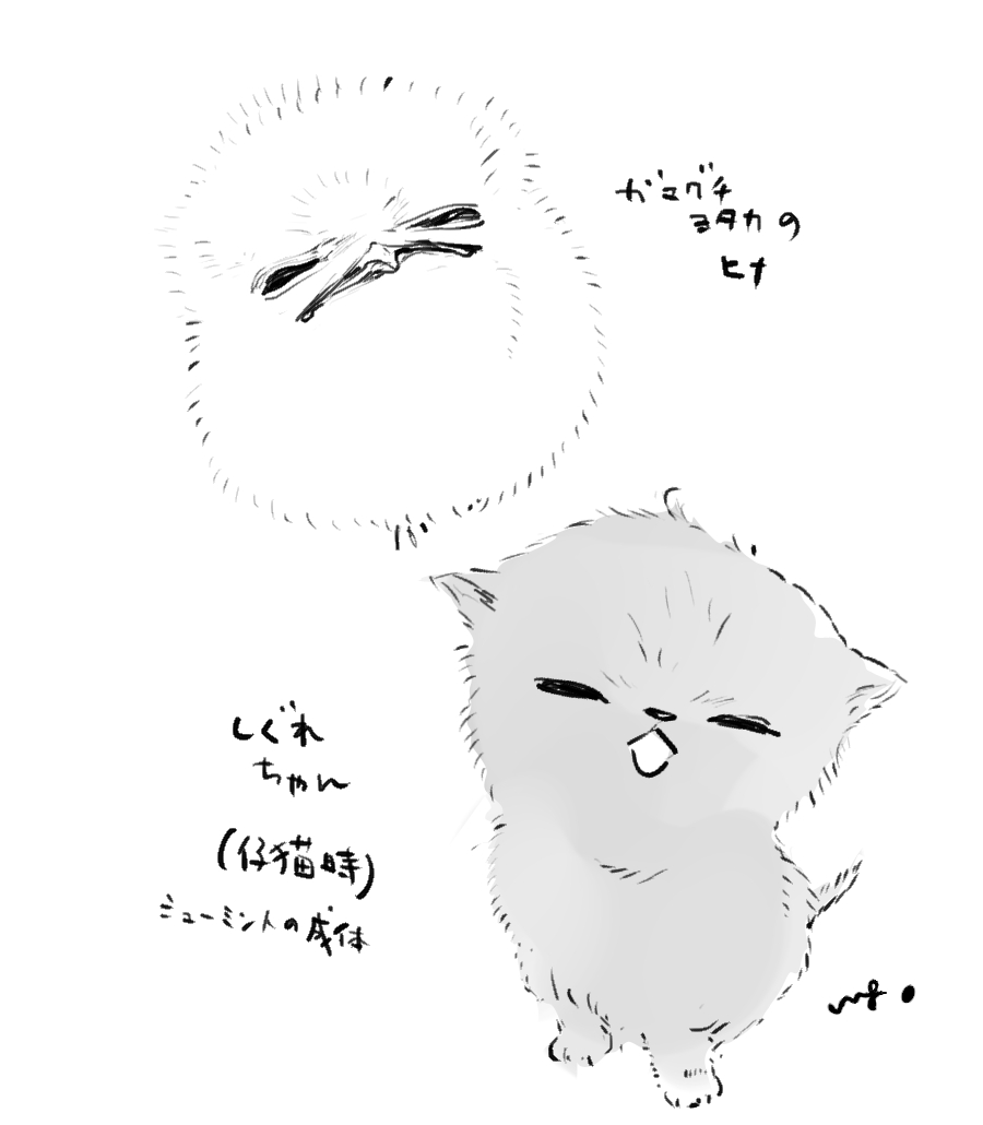 ガマグチヨタカのヒナとしぐれちゃんの相似性について 