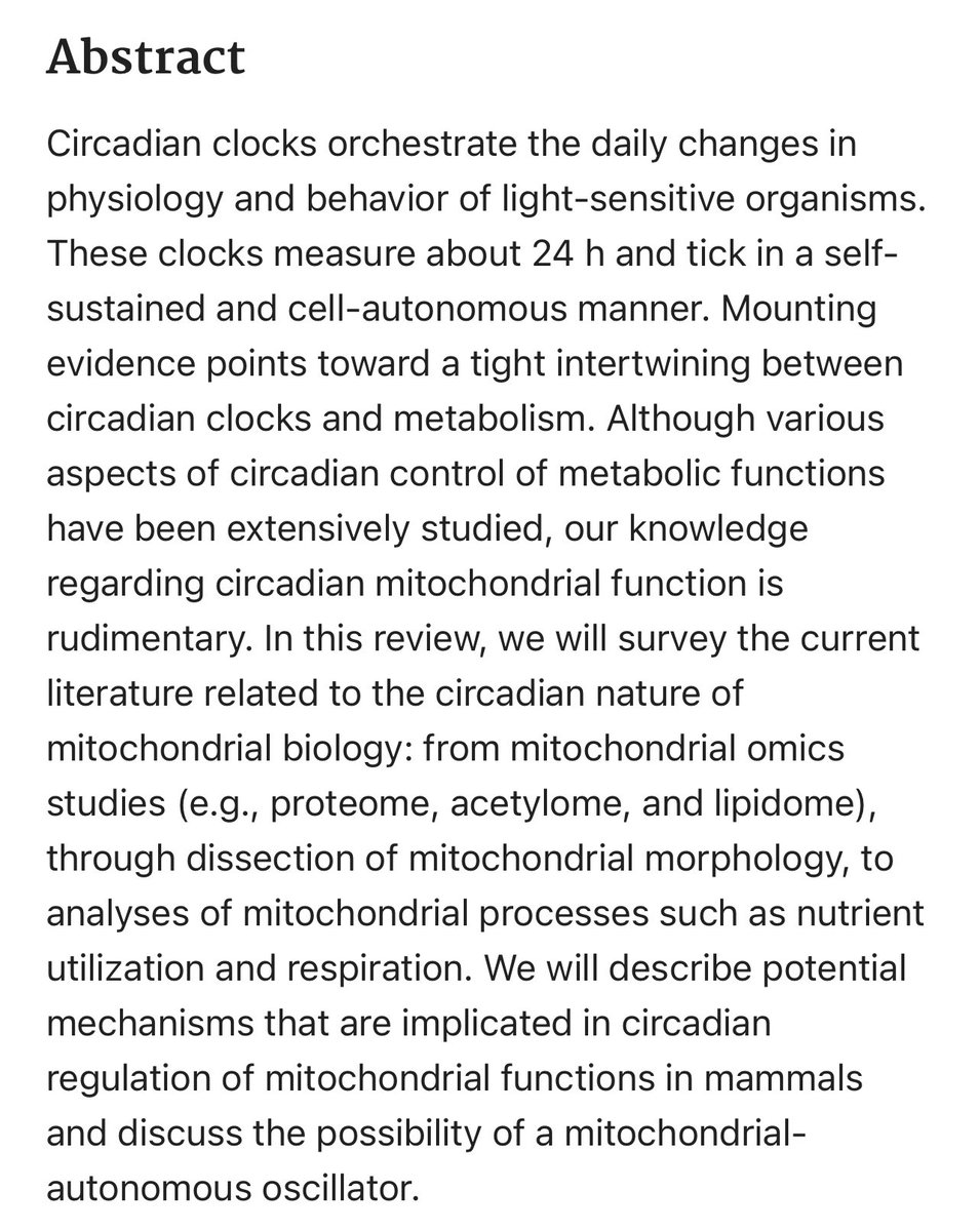 The Circadian Nature of Mitochondrial Biology  https://www.ncbi.nlm.nih.gov/labs/pmc/articles/PMC5165042/
