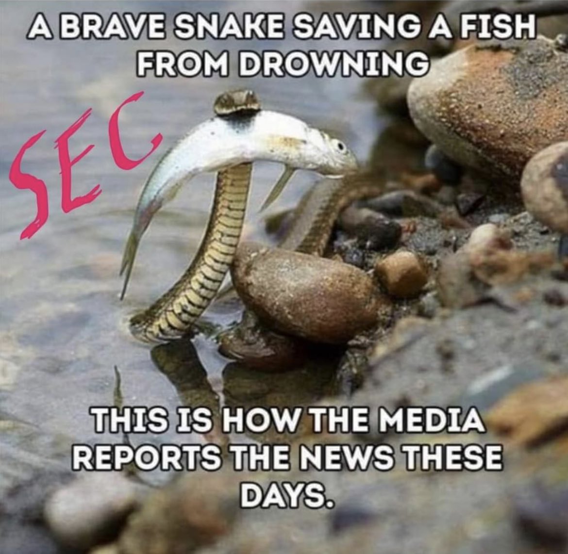 Just protecting investors! #SEC