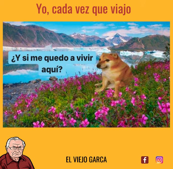 Juli (@julimaraschin) on Twitter photo 