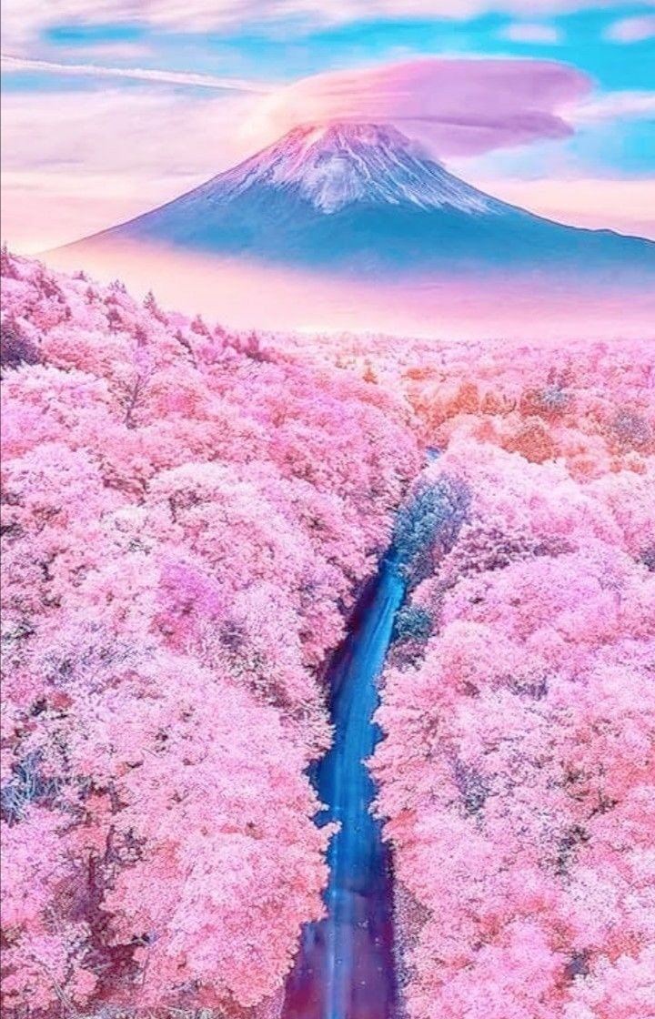 Good morning everyone, I wish you a pleasant saturday and a great start to the weekend, enjoy a wonderful day my dear friends ☕🌺🌸💙💗🤗