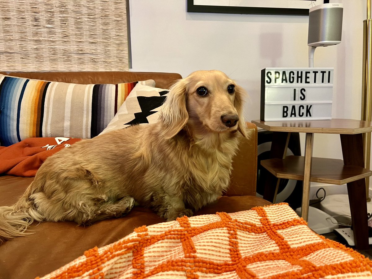 goodboybuckley's tweet photo. Big news, LA! https://t.co/0HvIiGaA6L