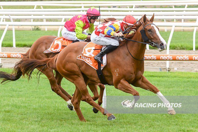 AwNoonan's tweet photo. Well done to connections of both La Pluie and Dazzling Lucy breaking their maiden at @MelbRacingClub @Mornington today. Over 100 social syndicate members on track to cheer home their winners. @Racing https://t.co/nkiNQoNtH2