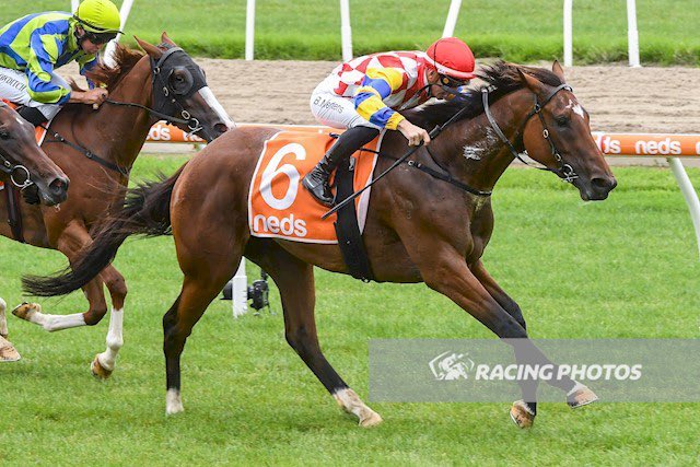 AwNoonan's tweet photo. Well done to connections of both La Pluie and Dazzling Lucy breaking their maiden at @MelbRacingClub @Mornington today. Over 100 social syndicate members on track to cheer home their winners. @Racing https://t.co/nkiNQoNtH2
