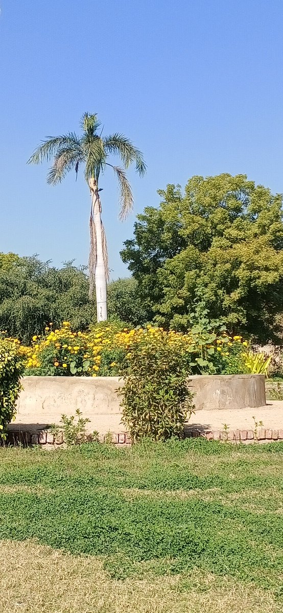 DrHamadWassan's tweet photo. "Every morning we are born again. What we do today is what matters most."
#goodmorning
#Weekned
#HostelVibes #FinalYear https://t.co/4o0odUHREF