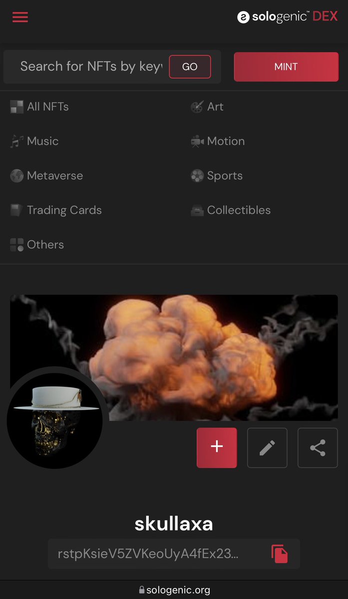 It took us alot time &amp; effort but glad to see that we have planned portion up.

💀

sologenic.org/nfts/search?qu…