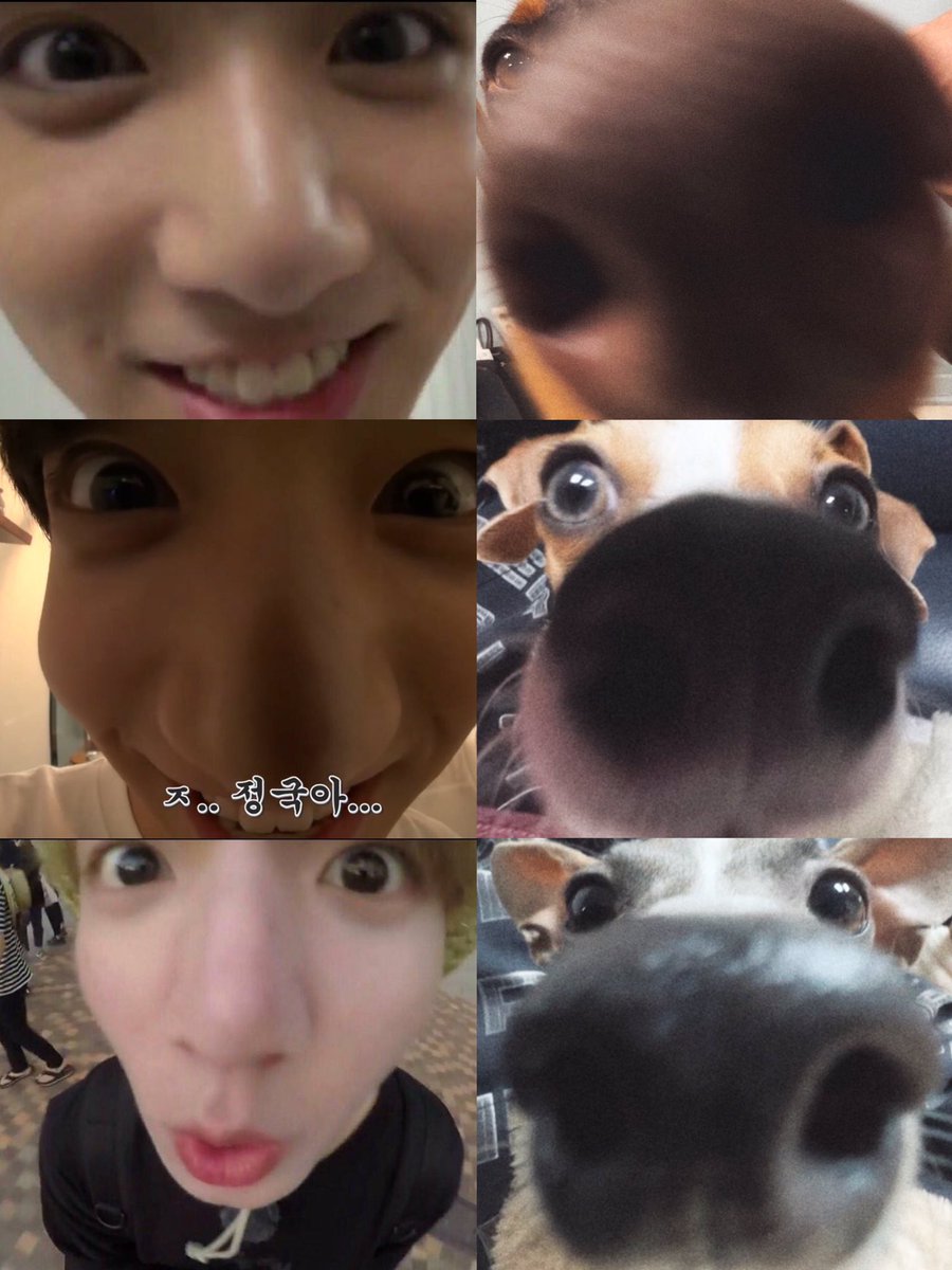 randomjungkook's tweet photo. like father like sons https://t.co/2C8CY6uV1C
