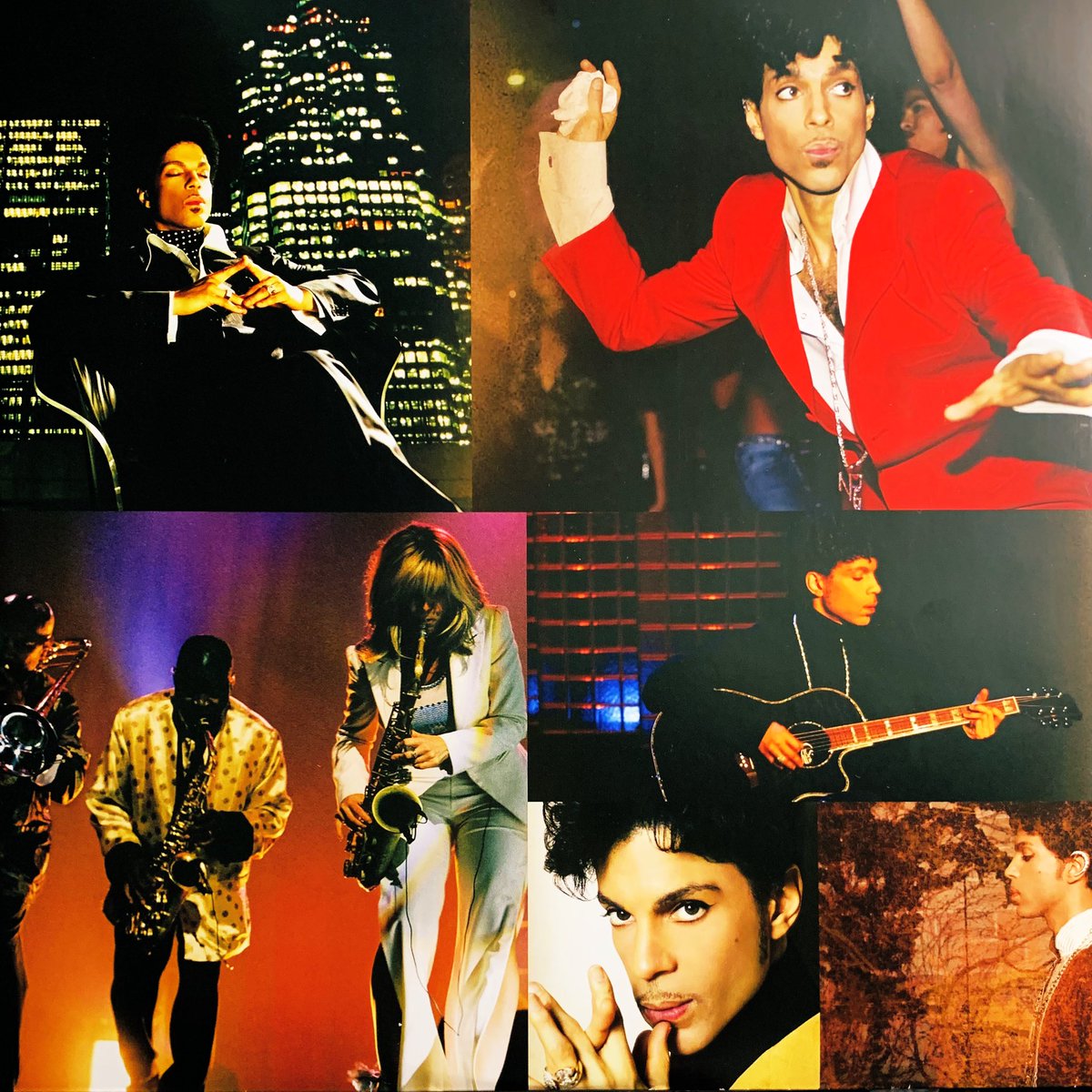 RACCOON 🎧 tweet media