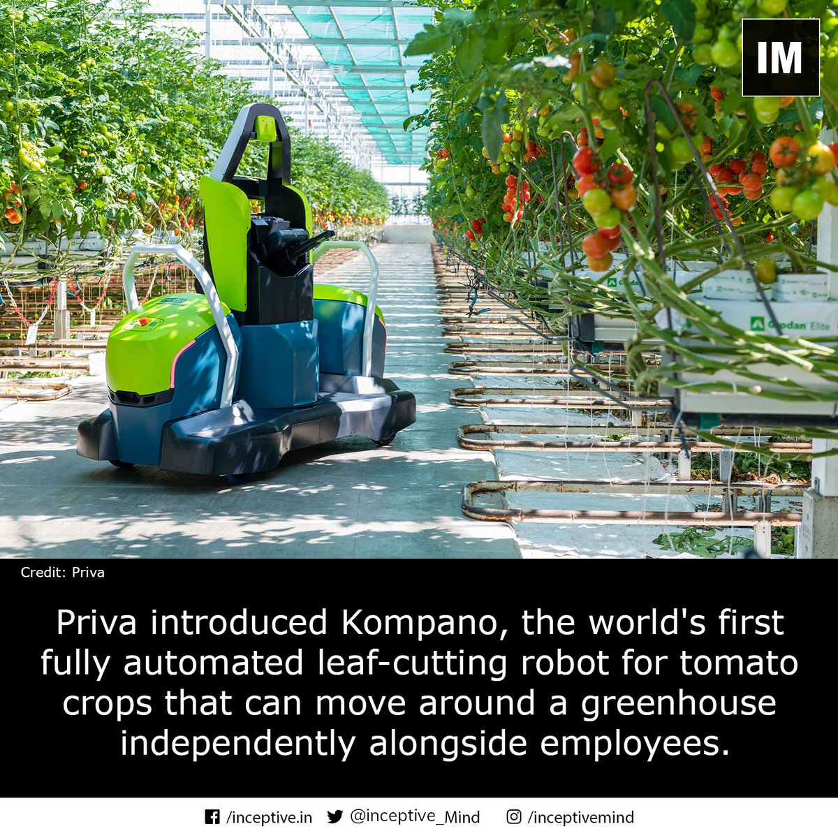 Priva’s fully automated leaf-cutting robot can operate 24/7.
#leafcutting #robot #fullyautomated #kompano #innovation #newinvention #newtechnology #inceptivemind