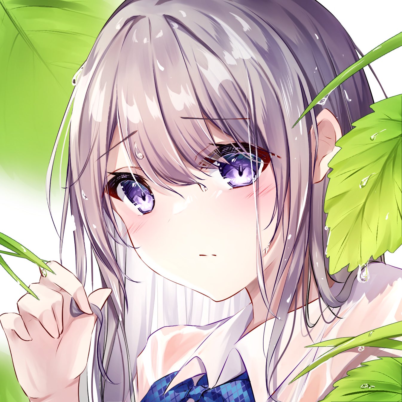 フリーイラスト Twitter Search Twitter