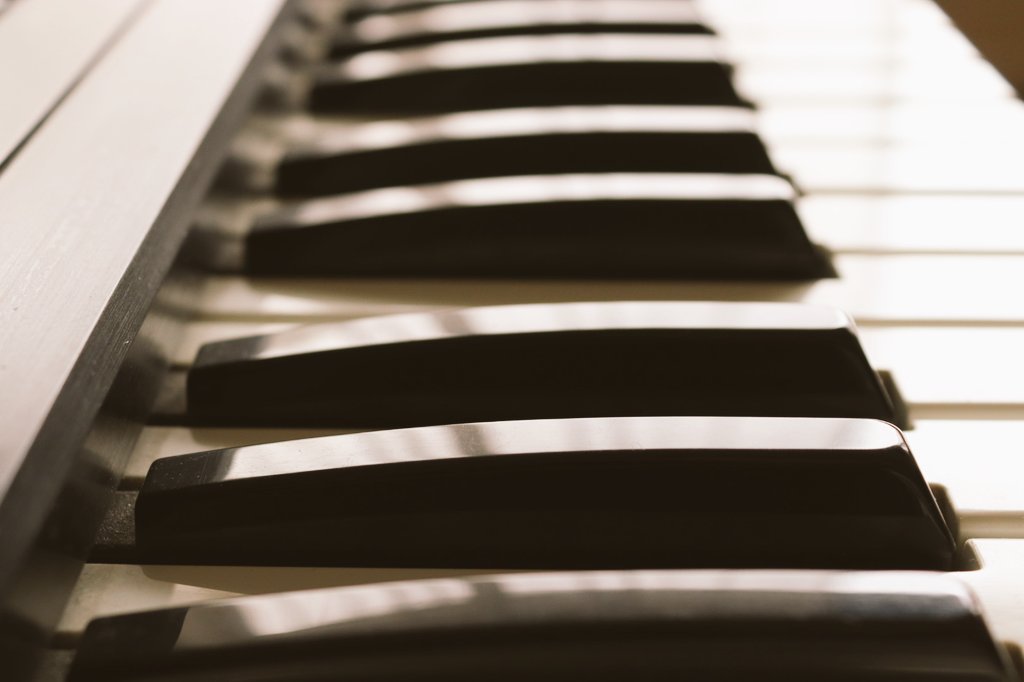DPMMusic's tweet photo. "Ebony and Ivory
Live together in perfect harmony
Side by side on my piano keyboard, oh Lord, why don't we?"
#Roland #Synthesizer
#dutchphotography https://t.co/XRR7DzJfW0