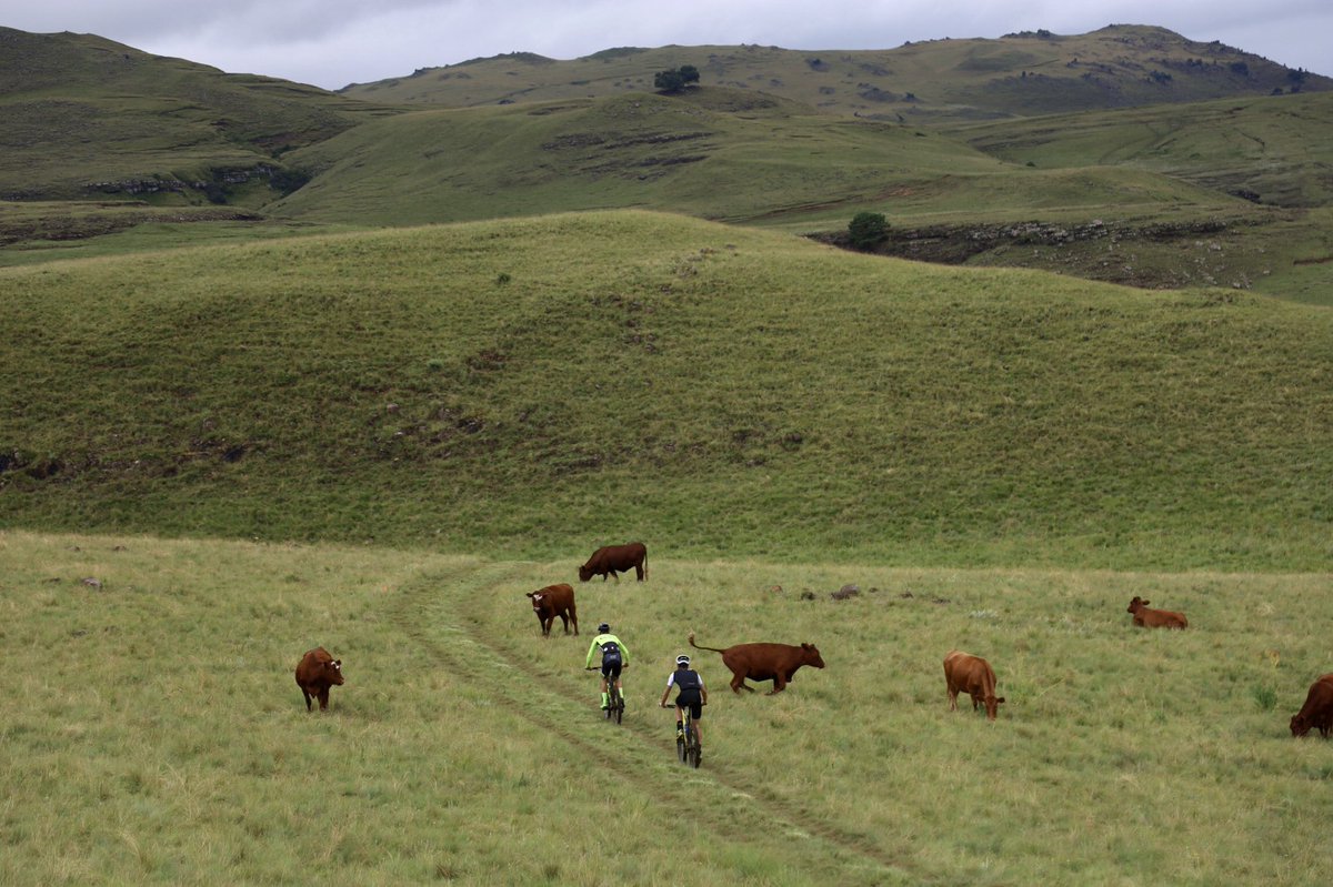 It’s wet, muddy, fun at the Euro Steel Drak Descent
