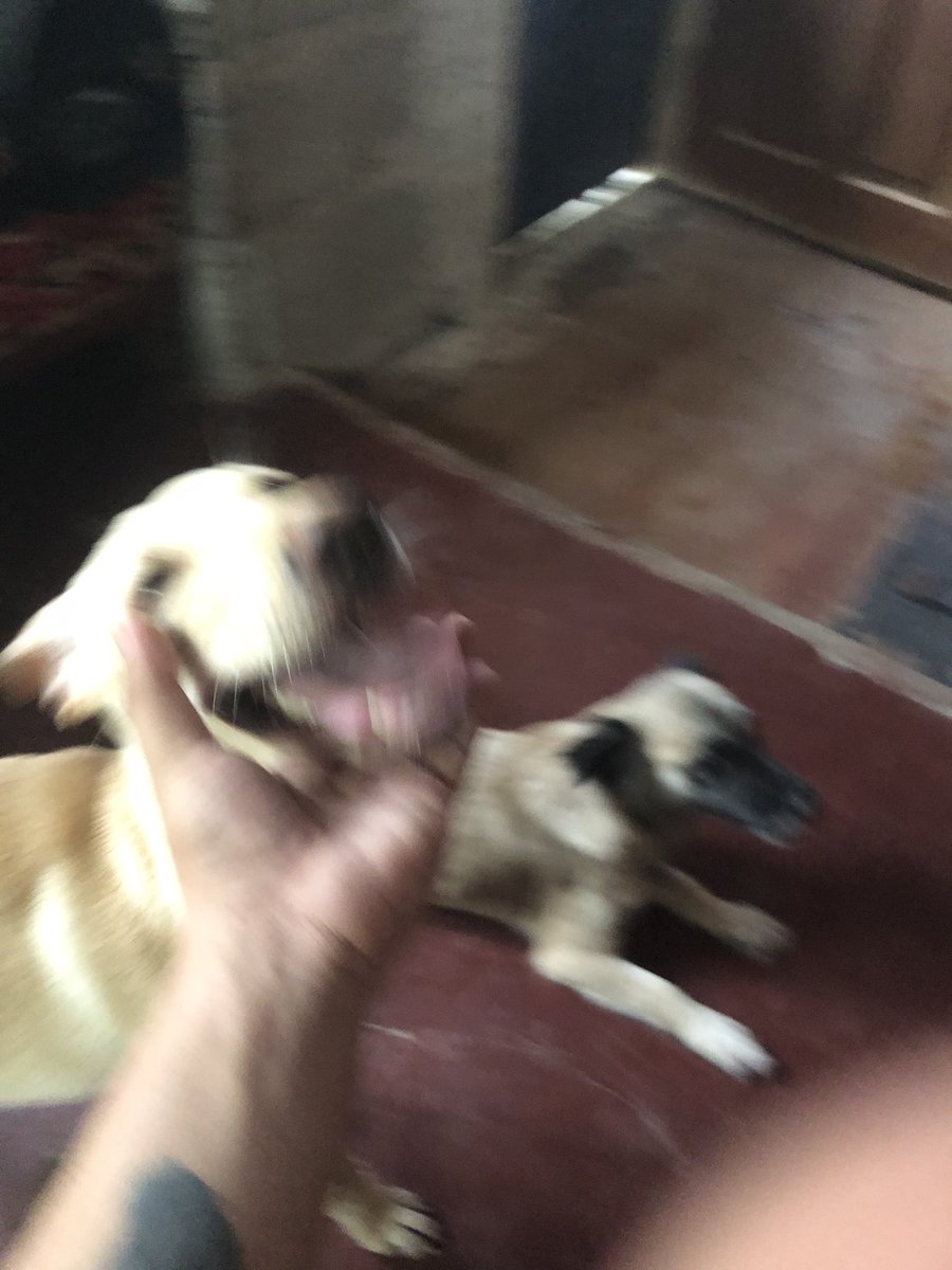 divdivdib's tweet image. i miss you mga palangggaaaaaa