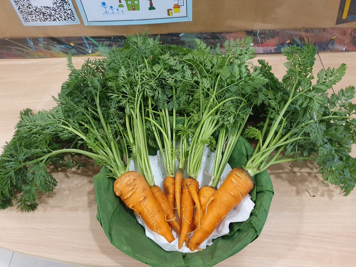 Nargish Khambatta tweet media