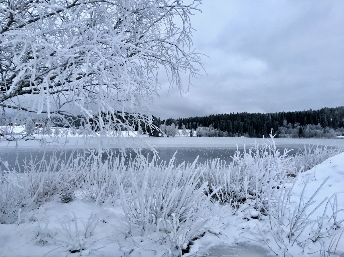 Blipfoto's tweet photo. It's hard to believe that this is our last #BCSplash of January! This week our photo was created by HarlingDarling from Sweden.
We've lots of great news from #blipfoto.
Read our latest news on the Community Blog here: https://t.co/kMGnEuyrY3
#SaveYourLife #OneDayataTime https://t.co/hOsrHA1OEB