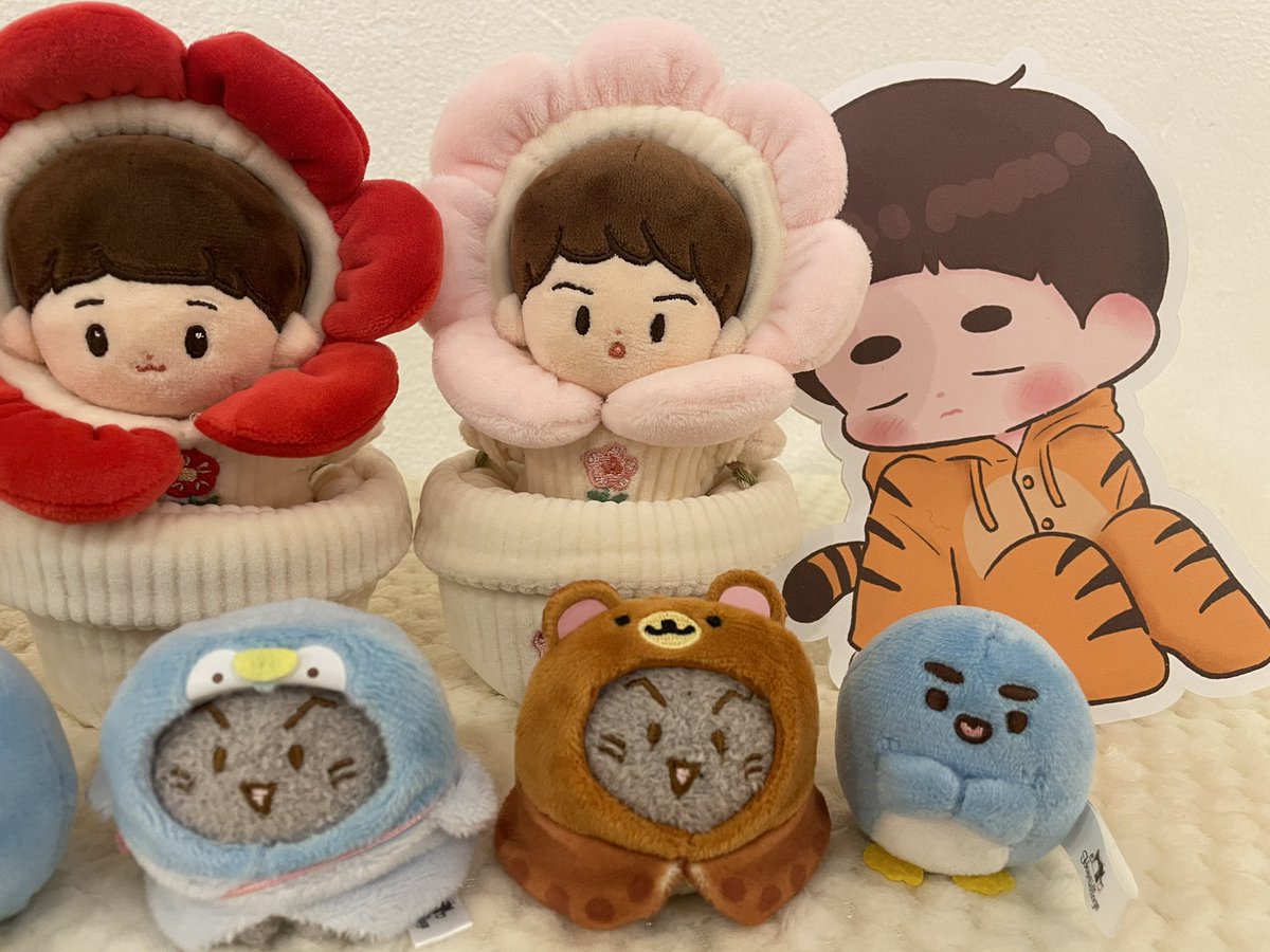 오뭉치🏠 tweet media