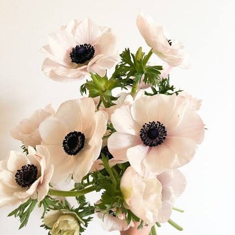 goingcrazy007's tweet image. #NewProfilePic