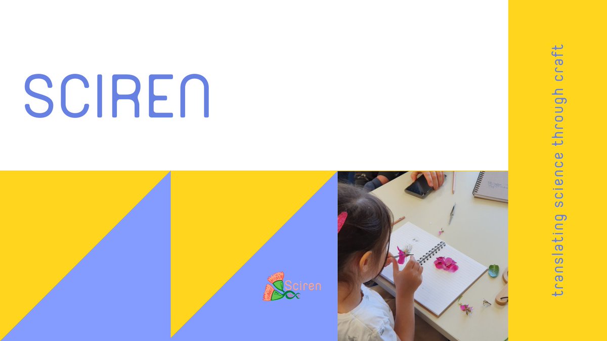 Bianca Warnock (@biancasciren) on Twitter photo 