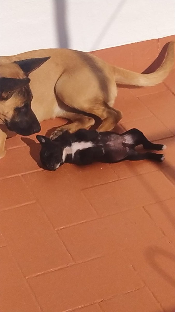 jonivera84's tweet photo. Tomando el sol https://t.co/qaC84cbm9T