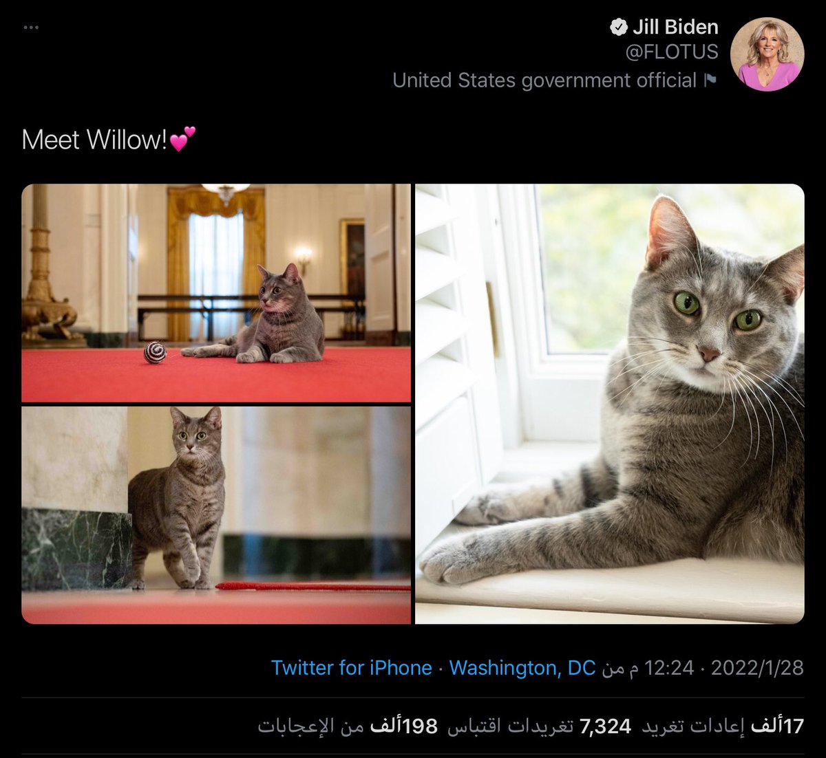 ..
مليون طفل على وشك الموت .. لا يحركون الإنسانية الأمريكية !!
..
تواتر الحديث من منظمات دولية عدة ع...