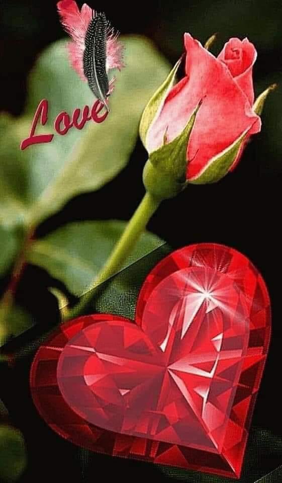 Человек целует цветок. Парень и девушка в ромашках. Собрал цветы любви. "цветы любви". Цветы с запиской.