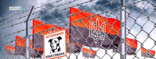 политнавигатор. военное обозрение. нато страны c выходом к черному морю. политнавигатор военное обозрение. политнавигатор военное обозрение.