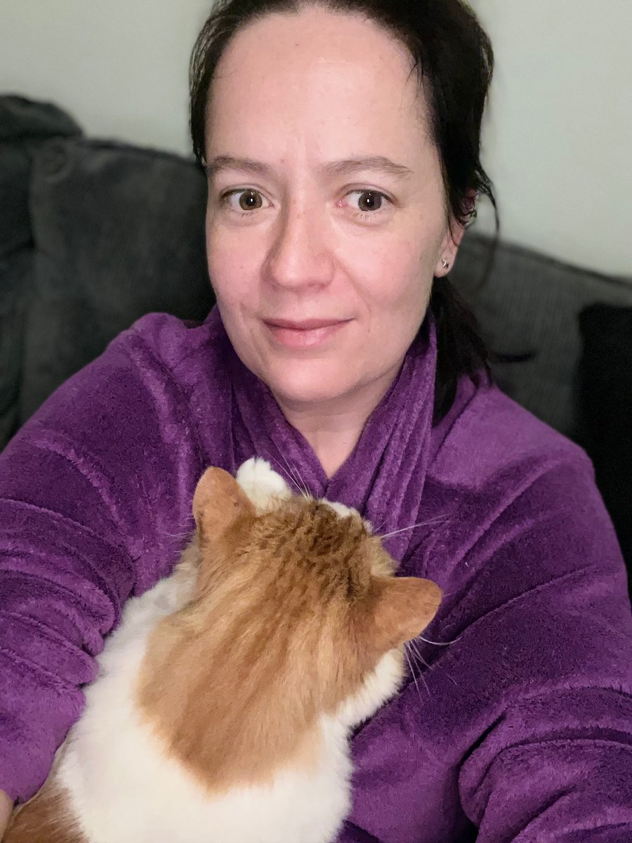 guernseyFlower's tweet photo. Someone is in cuddle mode. Totally forgetting how annoyed he is at me for not letting him out yet this morning because he is off to the vet later. #CatsOfTwitter #PercyCat #Vets https://t.co/RFzTWZKQCj