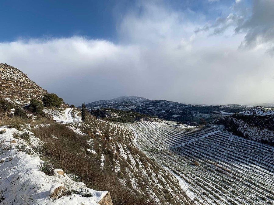 winesofcrete's tweet photo. The snow ❄️ in Crete matches perfect with the #CretanLandscape 
#winesofcrete 
Photos: #zacharioudakis_winery
@winewankers https://t.co/2PiE53Ncrx