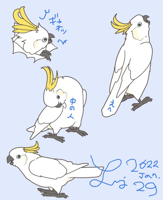 暴飲暴食のtwitterイラスト検索結果