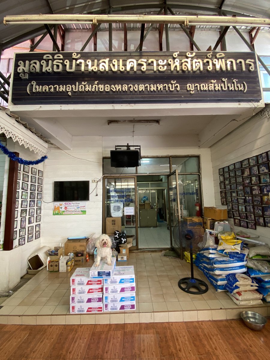 CharitywithWIN's tweet photo. วันนี้ทาง Charity with WIN ได้นำอาหารสุนัข @herculesdogfood มามอบให้แก่มูลนิธิบ้านสงเคราะห์สัตว์พิการ ปากเกร็ด 🐶

Thank you so much for your kind donation. @Win_Bunny_21 💚

#HerculesxWin 
#winmetawin 
#snowballpower https://t.co/0n8AnHzRit