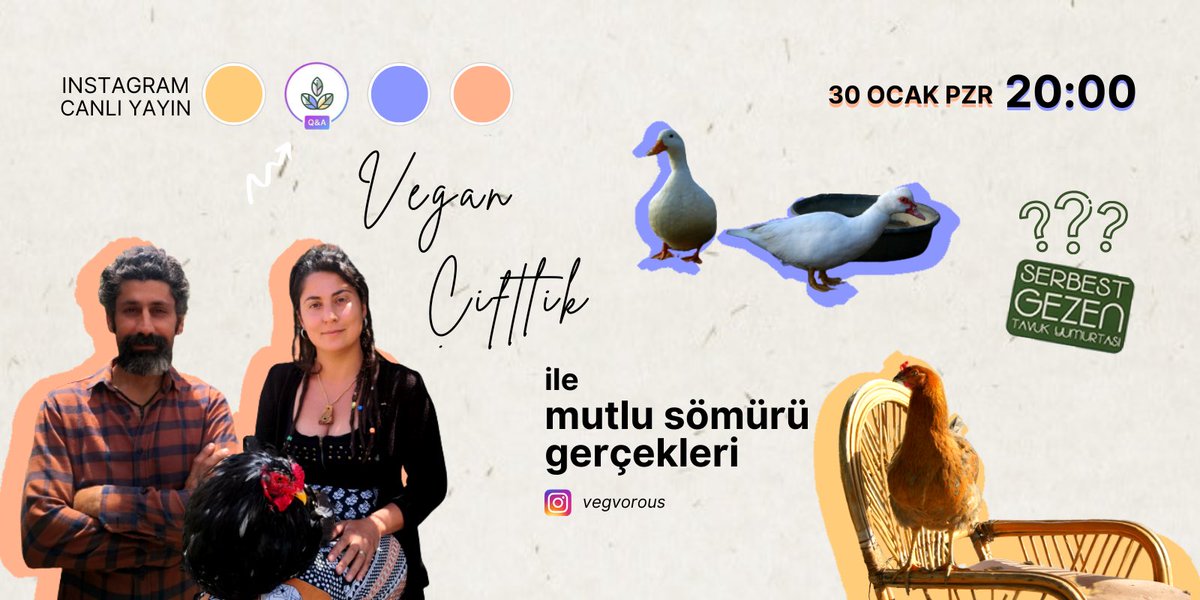 vegvorous's tweet photo. VEGvorous’ta 30 dakikalık soru-cevap Instagram canlı yayınlarımız devam ediyor 💚 

🐓Vegan Çiftlik “mutlu sömürü” ye dair sorularımızı yanıtlayacak, bize mutlu bir sömürünün gerçeklerini deneyimleriyle aktaracak. https://t.co/muYvP78Vcz