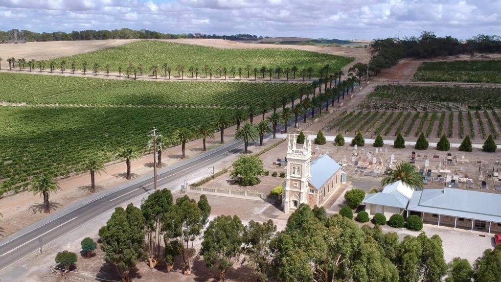 PaulmaraEstates's tweet photo. @WSU_Vit_Ext https://t.co/eGZaumwNQv