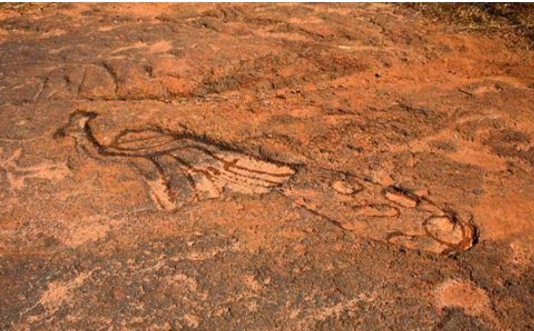 RT @truegoanology: Historians:mughals brought peacock in India. 
Goans:usgalimal prehistoric rock carving 30000bce https://t.co/ybC0yYBXOr
