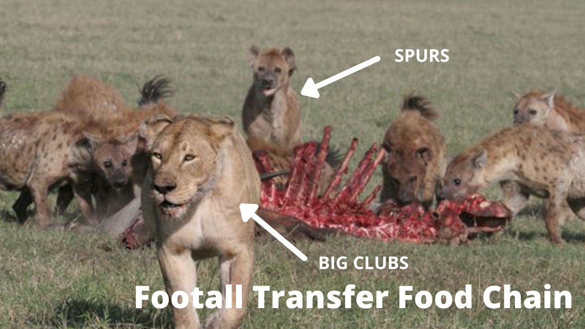 Neil Finnie tweet media