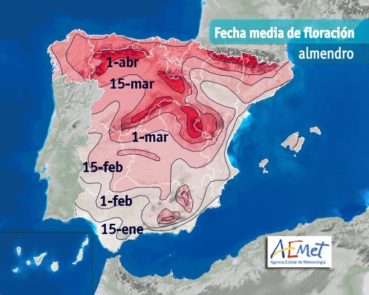 José Miguel Viñas tweet media