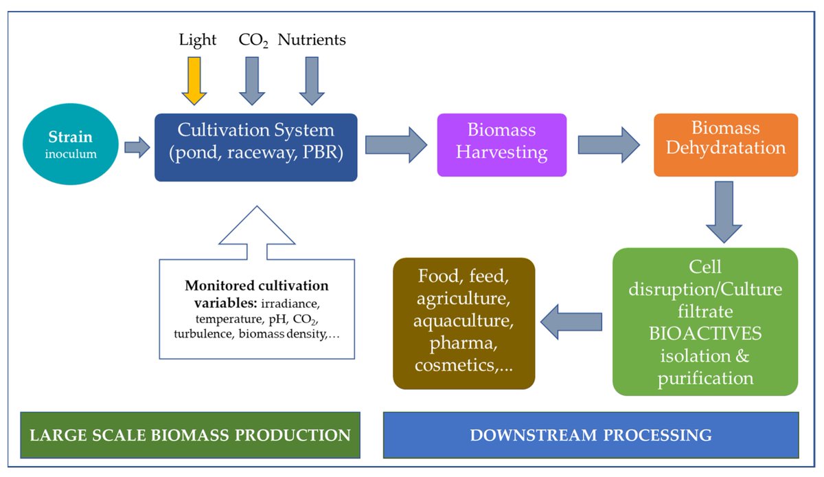 Horticulturae MDPI tweet media