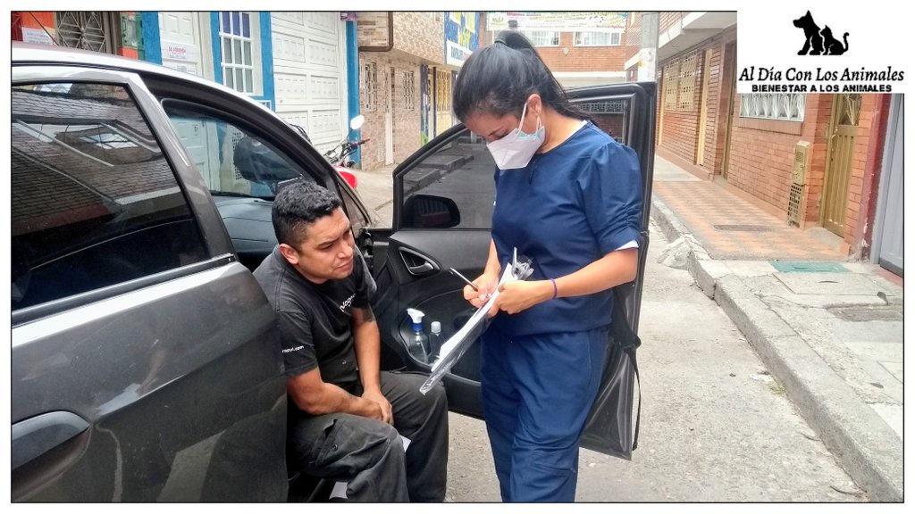 DiaAnimales's tweet photo. RT (HILO...⬆️) - ☑️DIFUNDIR☑️ - @Bogota / El #Jueves, #27 de #Enero de #2022, junto con @AlcaldiaSuba11 / #FundaciónEcodes / y como integrantes de la #RedLocalDeRescatistasYProteccionistasDeAnimalesDeSuba - #Relpas, estuvimos compartiendo la información (HILO...⬇️) RT https://t.co/bwjxy47aUD
