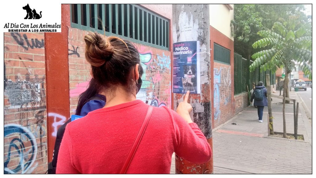 DiaAnimales's tweet photo. RT (HILO...⬆️) - ☑️DIFUNDIR☑️ - @Bogota / El #Jueves, #27 de #Enero de #2022, junto con @AlcaldiaSuba11 / #FundaciónEcodes / y como integrantes de la #RedLocalDeRescatistasYProteccionistasDeAnimalesDeSuba - #Relpas, estuvimos compartiendo la información (HILO...⬇️) RT https://t.co/bwjxy47aUD
