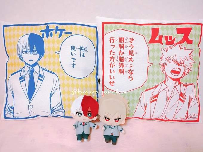 とどばクッション届きました😭🙏💖 