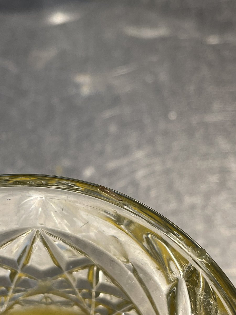 This is the 2nd time I’ve fished a maggot type creature out of the <a href="/albertheijn/">Albert Heijn</a> fresh orange juice. Once, ok. But twice?!?