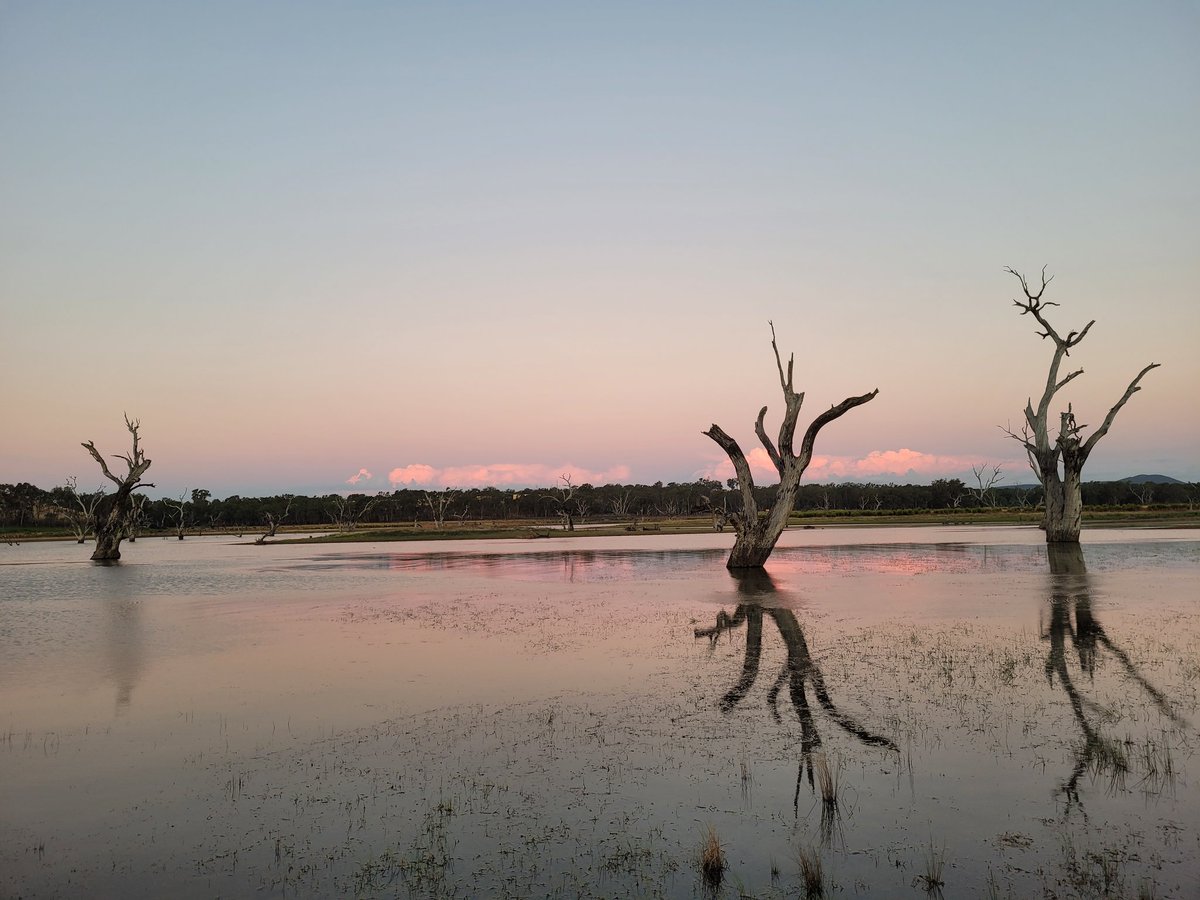 Certain sort of calm