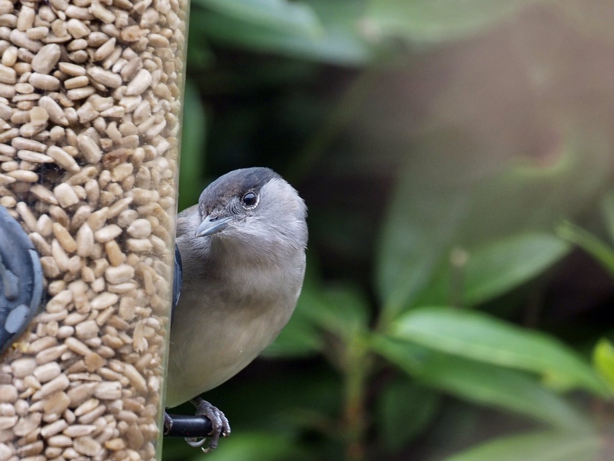 Dave Butler tweet media