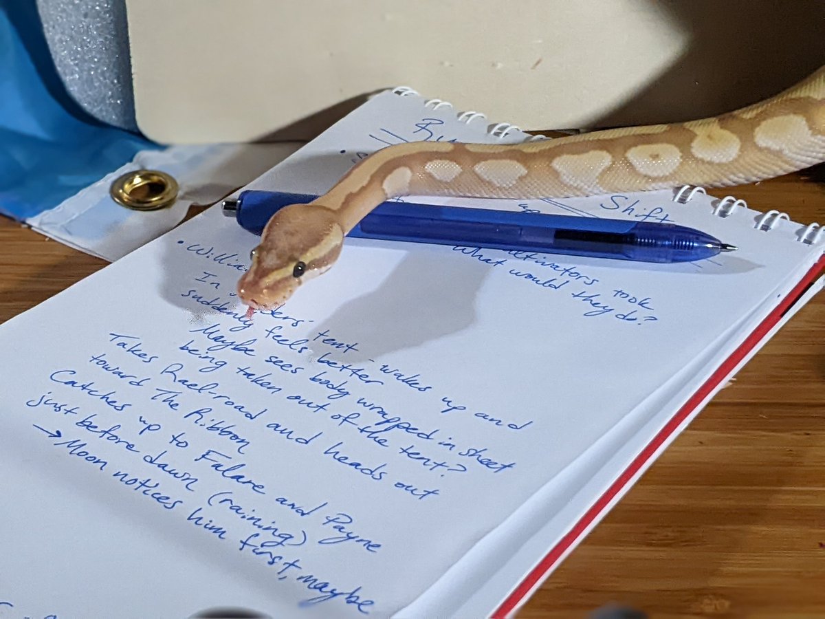 LuxLupa's tweet image. CW: Snake
.
 .
.
Me: I need to shower and get to sleep early to be ready for Ryne in the morning!
Pumpkin: Hmmm, let me out so I can check your notes first.