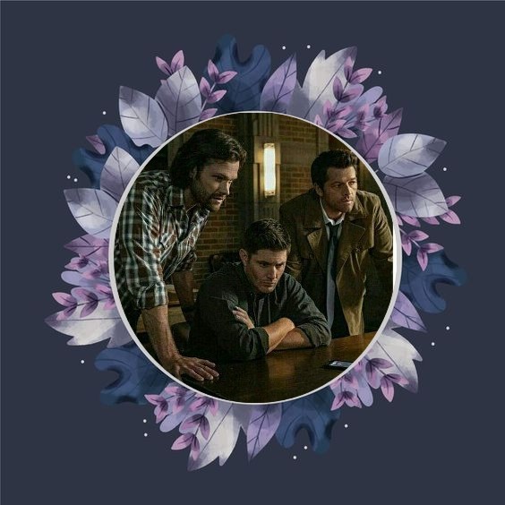 KPurpleWolf13's tweet photo. @SherryJ2M @J2Samantha @krissy24265780 @Gayled_it @merlep01756164 @dreamvalley84 @Famiy_Remains @padahugs @merenwen76AO3 
Good Day to you all https://t.co/nzPMbw275g