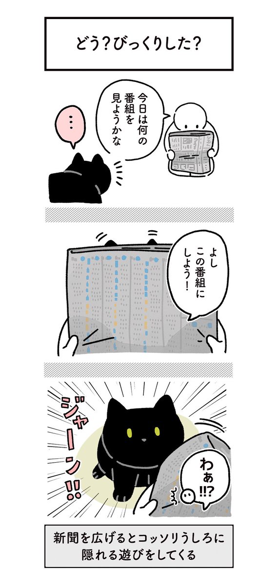 ねこ、めちゃくちゃワクワク楽しそうな顔で「いないいないばあ」を仕掛けてくるから、ビックリと癒しと笑いが同時に私を襲う #ろんの絵日記 