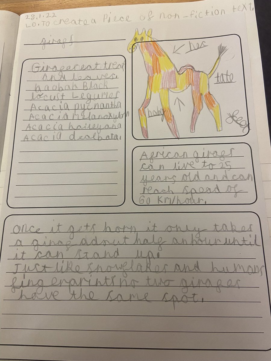 MeghanEdwards0's tweet photo. So proud of our year 2s animal fact files!! https://t.co/StKRQlCzlC